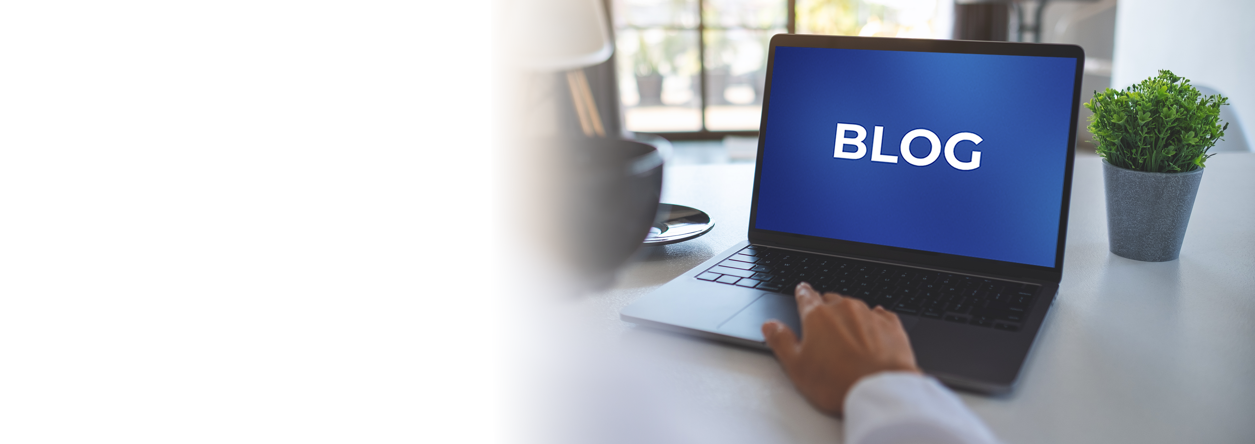 All You Need To Know About Digital Signage Content Management Systems (CMS)
